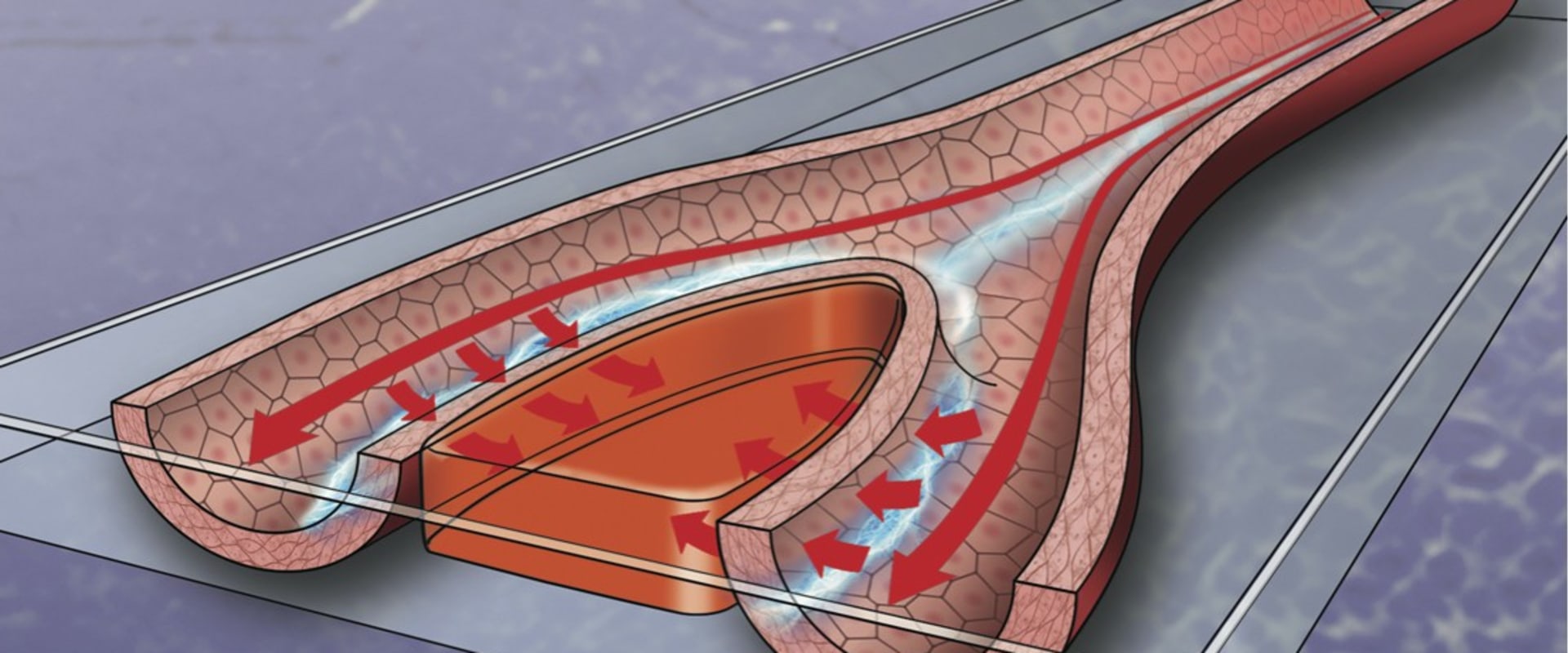 The Revolutionary Role of Electrical Stimulation in Wound Healing